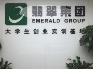 翡翠科技大学生创业实训基地 点燃创业梦想的摇篮